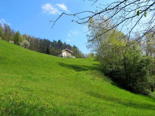 Outdoor Pictures 7