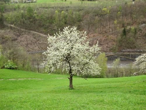 Outdoor Pictures 9