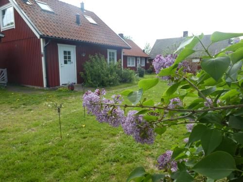 Outdoor Pictures 7