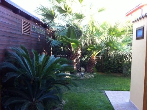 Outdoor Pictures 21