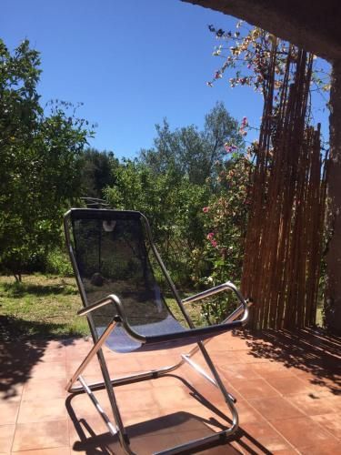 Outdoor Pictures 3
