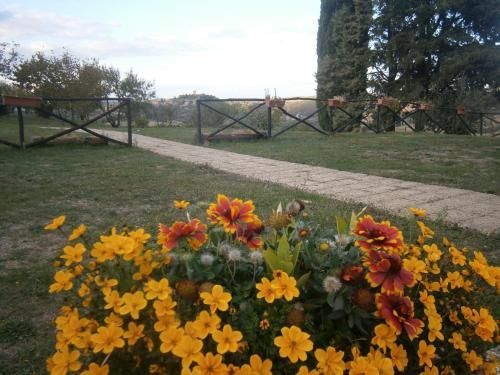 Outdoor Pictures 23