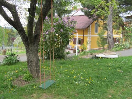 Outdoor Pictures 6