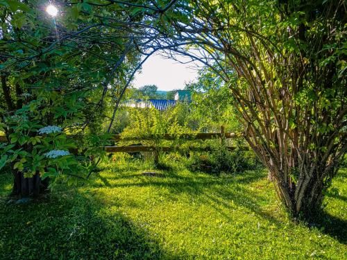 Outdoor Pictures 16