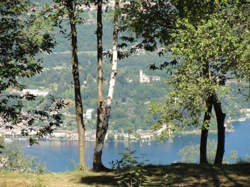 Outdoor Pictures 24