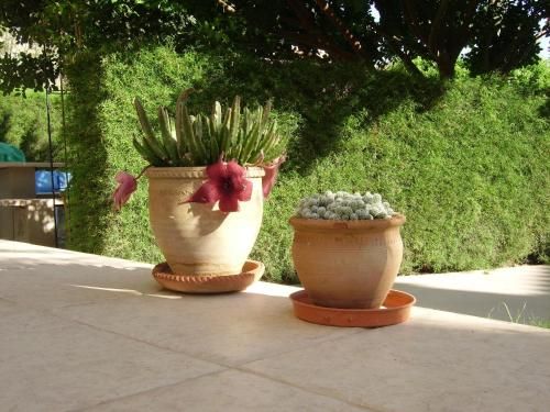Outdoor Pictures 9