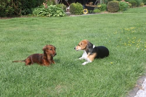 Outdoor Pictures 24