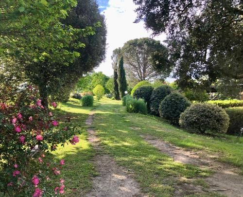 Outdoor Pictures 10