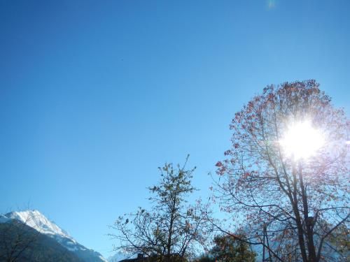 Outdoor Pictures 13