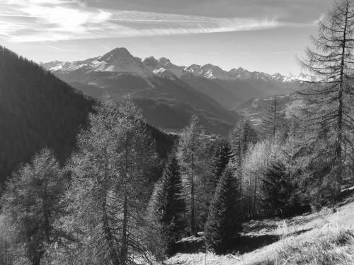 Outdoor Pictures 15