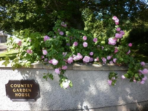 Country Garden House Holiday Homes