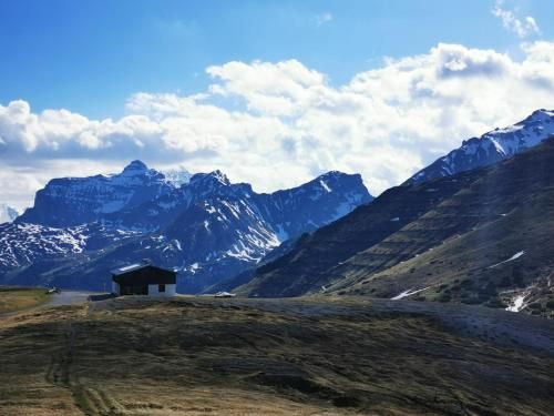 Outdoor Pictures 22