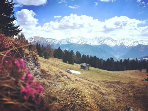 Outdoor Pictures 24