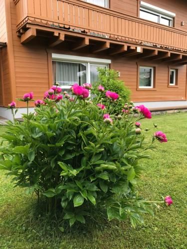 Outdoor Pictures 11