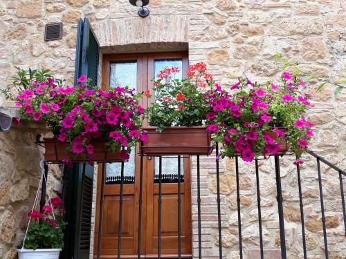 Outdoor Pictures 21