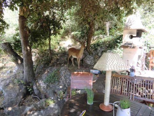 Outdoor Pictures 24