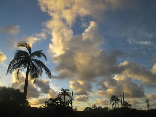 Outdoor Pictures 23