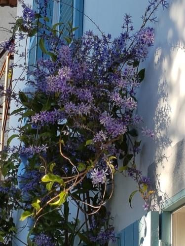 Outdoor Pictures 9