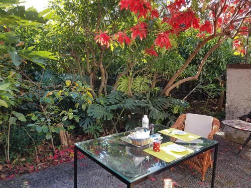 Outdoor Pictures 11