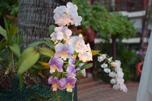 Outdoor Pictures 7