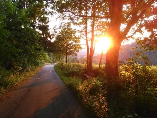 Outdoor Pictures 15