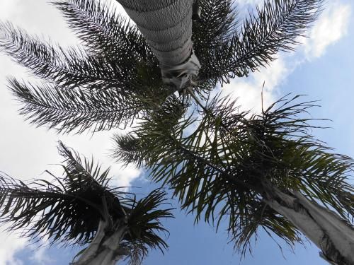 Outdoor Pictures 13