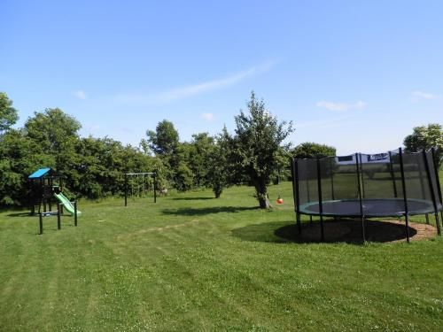 Outdoor Pictures 16