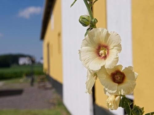 Outdoor Pictures 21