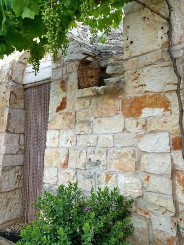 Outdoor Pictures 10