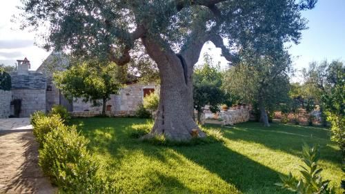 Outdoor Pictures 21