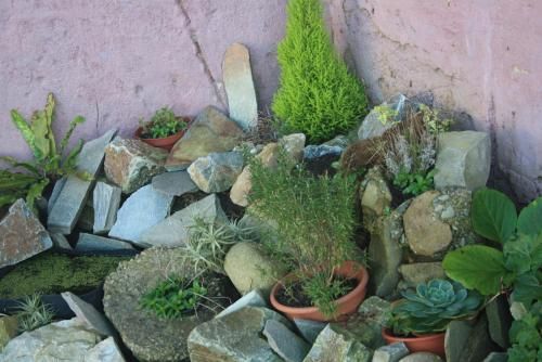 Outdoor Pictures 14