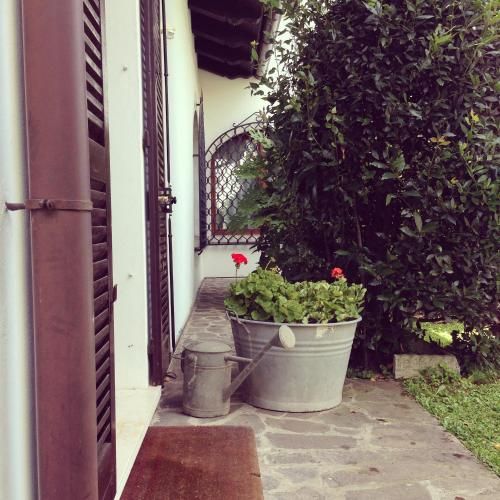 Outdoor Pictures 7