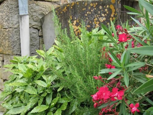 Outdoor Pictures 5