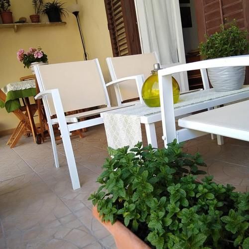 Outdoor Pictures 9