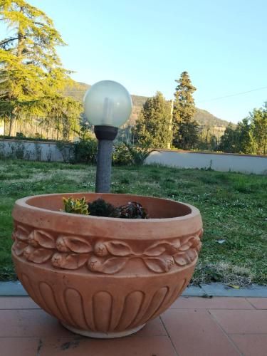 Outdoor Pictures 7