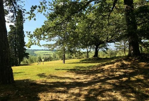 Outdoor Pictures 4