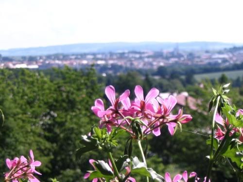 Outdoor Pictures 23