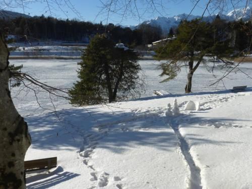 Outdoor Pictures 12