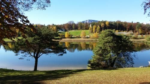 Outdoor Pictures 17