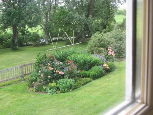 Outdoor Pictures 16