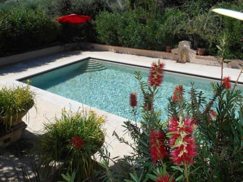 Outdoor Pictures 10