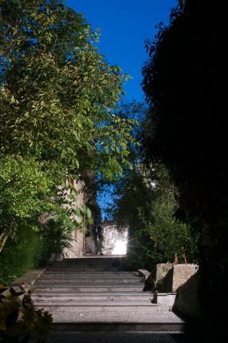 Outdoor Pictures 6