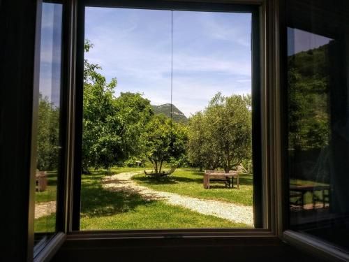 Outdoor Pictures 10