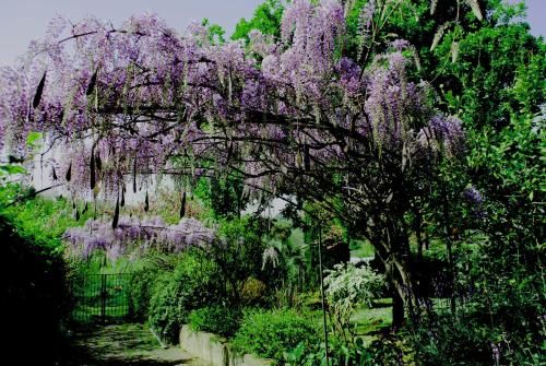 Outdoor Pictures 19