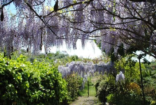 Outdoor Pictures 24