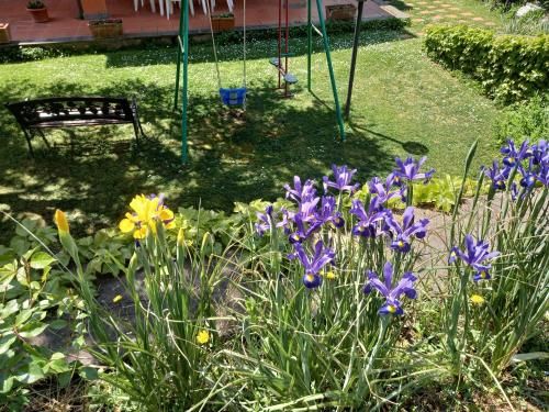 Outdoor Pictures 7