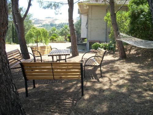 Outdoor Pictures 9