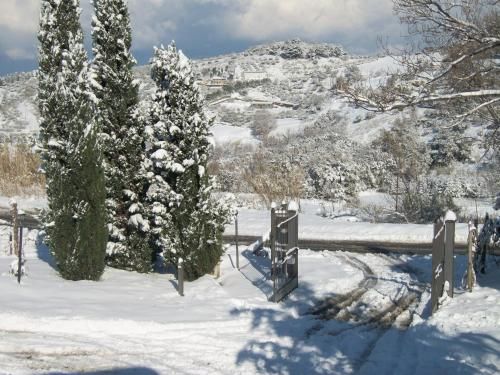 Outdoor Pictures 21