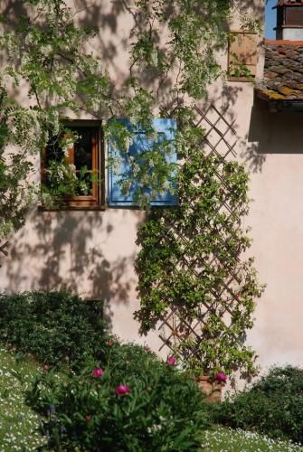 Outdoor Pictures 20