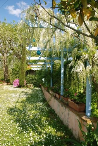 Outdoor Pictures 22